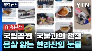 [YTN24] '컵라면 맛집' 소문난 한라산, 탐방객들 남긴 국물로 '눈물' / YTN