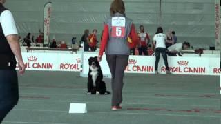 World Championship Obedience 2015 Fedorova Wander part 2