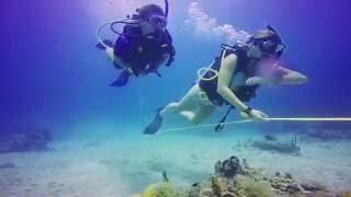 Broadreach | Overview of Marine Biology Summer Trips for Teens