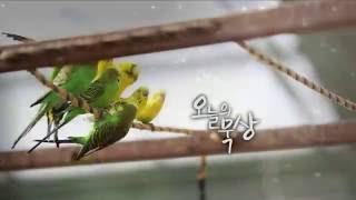 [HD 오늘의 묵상] 잠언 3:5-8