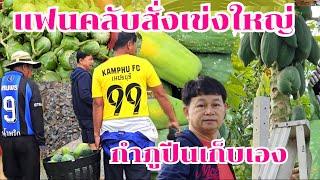 กำภูปีนเก็บเอง แฟนคลับสั่งเข่งใหญ่#บ้านสวนกำภูEp1216