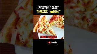 가짜치즈 피자 구별방법 ㄷㄷ