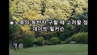 노후의 동반자 구할 때 주의할 점 / 데이빗 윌커슨