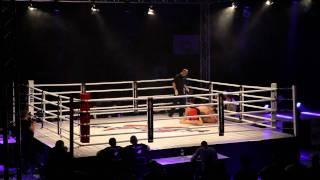 : SUPERIOR FC, MMA Fight Night Bojan Mihajlovic VS Mario Jurisic