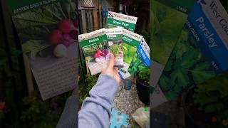 My Must-Sow Seeds for Spring | Kitchen Gardening 