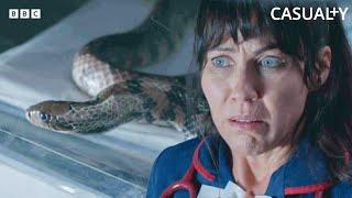 Snake Loose in Hospital: Nurse Suffers Venomous Bite! | Casualty