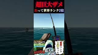 らっこ侍、フロリダで800㎏のサメを釣る #shorts  #ultimatefishingsimulator #釣り
