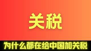 经济学解释：为什么都对中国征收高关税