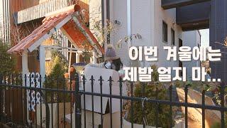 정원 식물들 꽁꽁 싸매고, 보온하는 겨울 가드닝 vlog