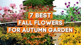 7 Best Fall Flowers to Liven Up Your Autumn Garden With Bright Colors  ️