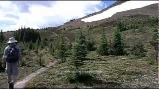 Spectacular Day Hiking: Bald Hills, Canadian Rockies;Jasper National Park