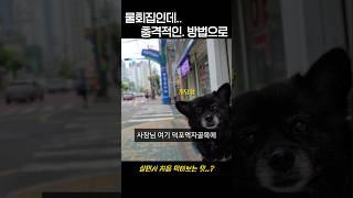 시장안 숨겨진.물회맛집