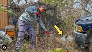 SHOCKING Find on this FREE Yard Transformation!