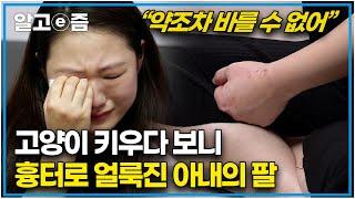 고양이를 부탁해 최다 조회수 사연｜ 잘 키워보려 데려온 고양이 보호자에게 입질 시작하더니... ｜손 무는 고양이｜고양이를 부탁해｜알고e즘