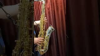 Yanagisawa T-WO37 Solid Silver Tenor Saxophone Test 시연동영상