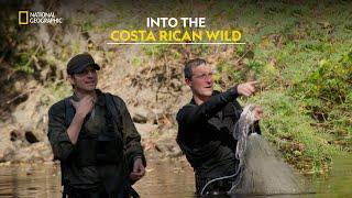 Ashton Kutcher Jungle Survival | Running Wild with Bear Grylls | हिंदी | S1 - E13 | Nat Geo