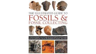 The Illustrated Guide to Fossils & Fossil Collecting