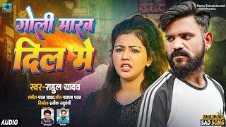 AUDIO | Rahul Yadav | Goli Marab Sidha Tahra Dil Me | Bhojpuri Sad Song 2024 | भोजपुरी दर्द गीत |