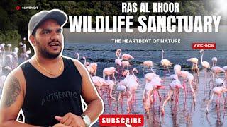 Exploring Dubai's Wildlife Sanctuary | Ras Al Khor Nature Reserve Adventure! SL Dubai Eye