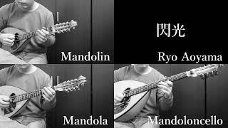 閃光 Senko ( Flash ) Mandolin Mandola Mandoloncello / Ryo Aoyama