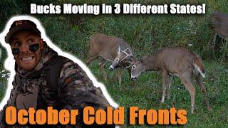 Bowhunting October Cold Fronts