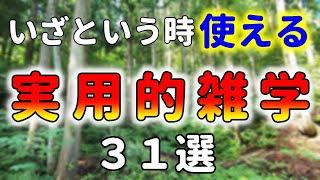 知ってるとイザという時に役立つ雑学３１選【自然の中でゆっくり雑学】