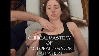 Muscle Palpation - Pectoralis Major [Updated] [ASMR]