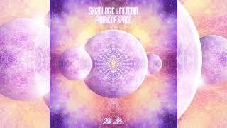 Skizologic & Filteria - Fabric Of Space