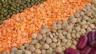 GLOBAL 2021 MARKET UPDATE ON DRY BEANS