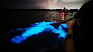 You've Gotta Try: Bioluminescence Kayaking in Cocoa Beach