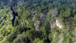 Christmas Island - A place like no other