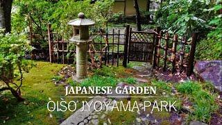 Tea Garden Tour in Rain | A garden in a small space next to a tea house | Oiso Jyoyama Park