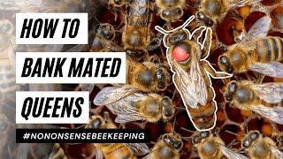 How to Bank Queens - Banking Mated Queens - How to Bank Mated Queen Bees