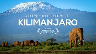 Journey to the Summit of Mount Kilimanjaro