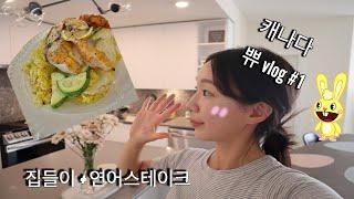 캐나다 밴쿠버 vlog | 남편 건담모으기 취미 | 연어스테이크 ️| 26평 우리집을 소개해요 