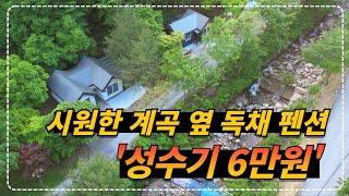 여름 최고 성수기에도 계곡 옆 독채 펜션을 6만원에 이용할 수 있는 최신식 숙소!!