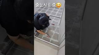 줄눈하는 두더지부부           #줄눈시공 #폴리우레아 #케라폭시 #포세린타일코팅