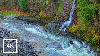 Hiking Trails With Stunning Views And Waterfalls | Wilson River Trail Tillamook State Forest