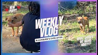 Weekly Vlog: Ayden Gets a New Puppy! Help Us Name Him | Master Plan for His Dream Lab #familyvlog