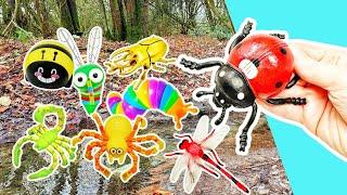 Learning at the Stream | Bug Names & Facts for Kids: Slug Scorpion Bee Ladybug Centipede