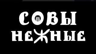 Совы Нежные