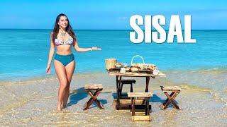 Sisal Yucatán ¿Qué hacer?  /Costo X Destino with english subtitles