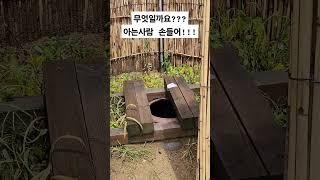 무엇에 쓰는 물건인고???  아는사람 손들어봐요^^