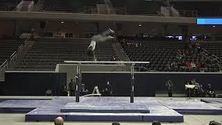 Fred Richard - Parallel Bars - 2022 Winter Cup - Senior Men Day 1