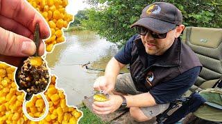 Method Feeder Fishing In A Storm With Sweetcorn