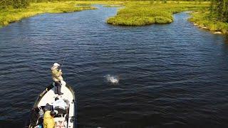 Fly-In Canadian Fishing | Arctic Lodge Northern Saskatchewan