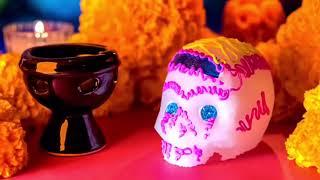 Eduardo Cortez Y074, ofrenda video