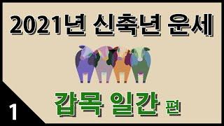 2021년 신축년 운세. 첫번째 갑목일간 편!