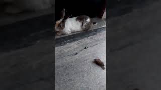 so cute #sort️️️