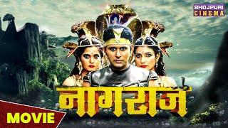 नागराज - FULL MOVIE | #Yash Kumar, #anjanasingh, Anand Mohan | Naagraaj | Latest Bhojpuri #film 2023